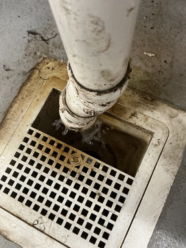 Standing Water in a Commercial Kitchen Floor Drain — Cleared in Austin — after