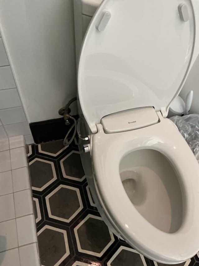 Bought the Bidet Seat, Skipped the DIY: Installed in Austin — after
